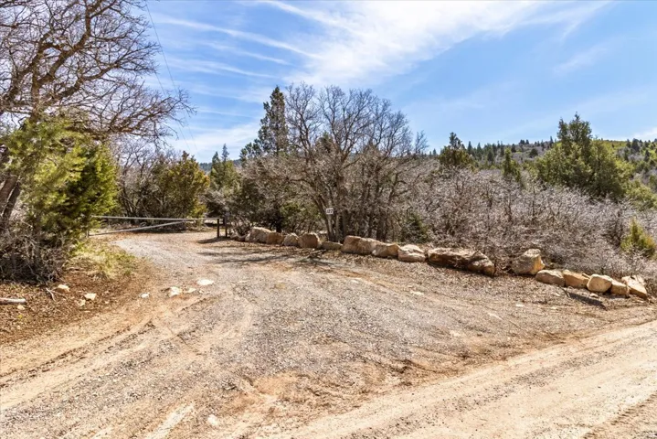 Gravel drive with natural rock retaining wall, surrounded by mature trees and native vegetation