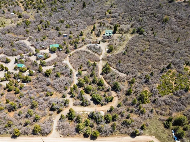 Multiple structures nestled within a natural, wooded landscape