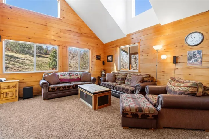Vaulted ceiling living area featuring horizontal wood paneling, multiple picture windows, a rectangular skylight, and plush brown carpeting