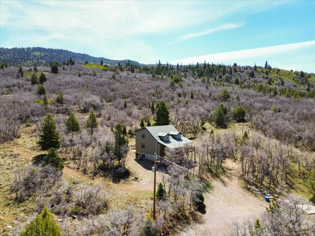 Mountain-side dwelling featuring a green metal roof, light-colored siding, and a partially visible deck