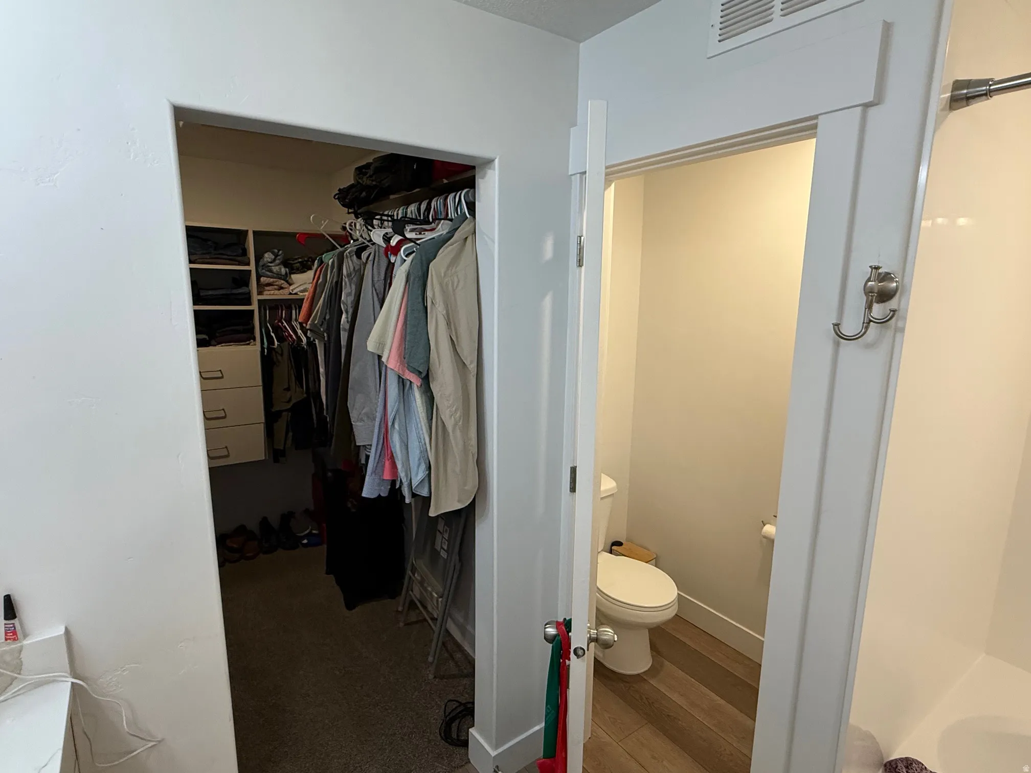 Walk-in closet with built-in shelving and drawers, carpet flooring, and an adjacent water closet featuring wood-finish flooring