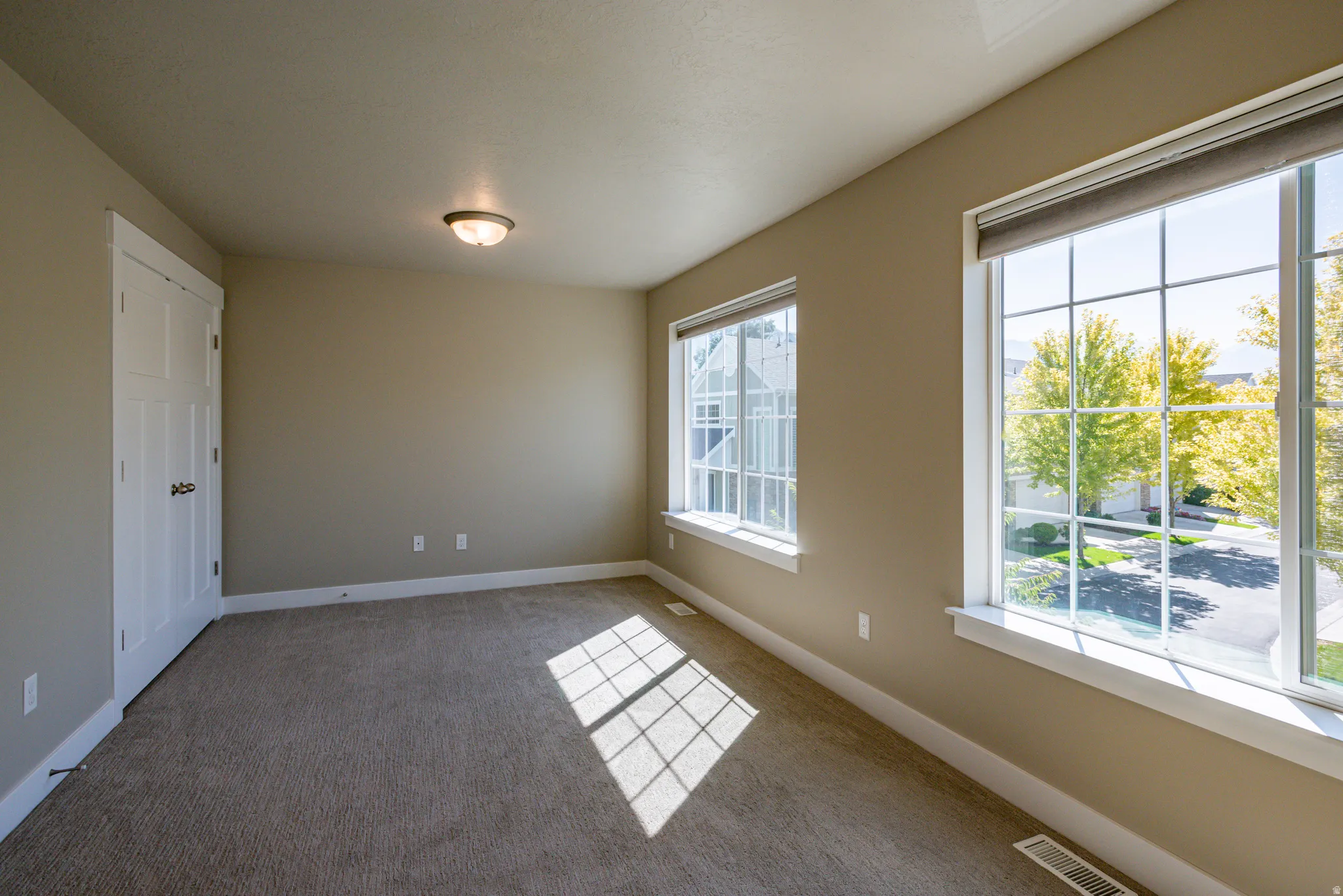 Carpeted room with a ceiling-mounted light fixture, two windows, and a white paneled door