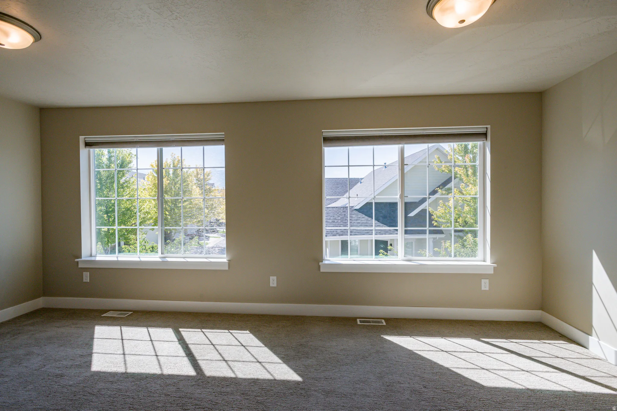 Spacious room featuring neutral carpeting, light beige wall paint, white baseboards, and two large windows with grid patterns