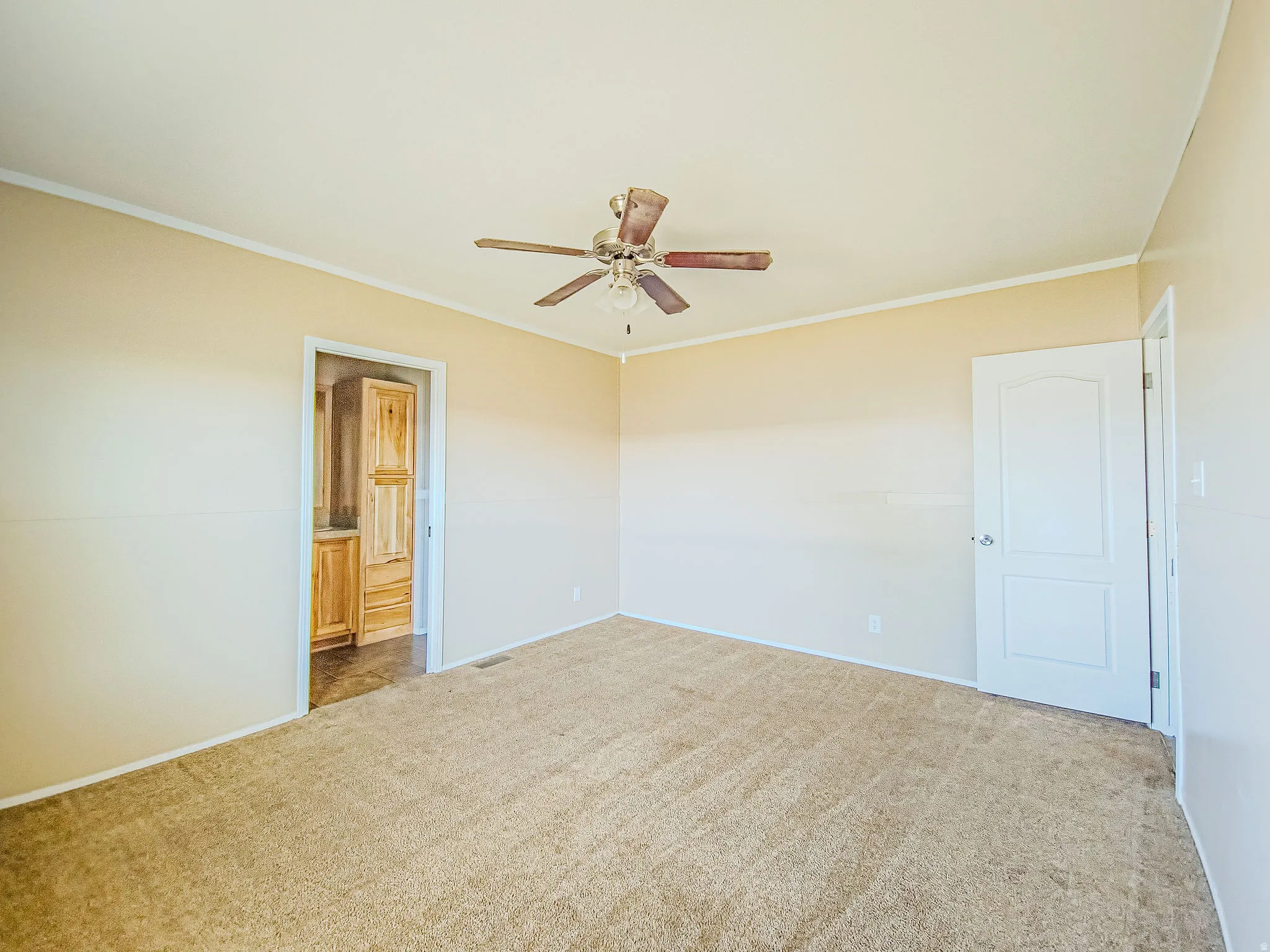 Carpeted interior space featuring a ceiling fan, crown molding, and a white paneled door