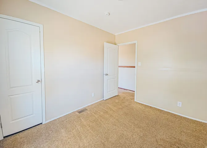 Neutral wall finishes complemented by light-toned carpeting