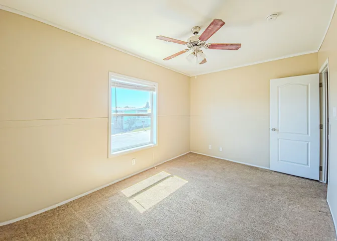Carpeted room featuring a white-framed window, a ceiling fan with integrated lighting, and a white paneled door with a silver-finish knob