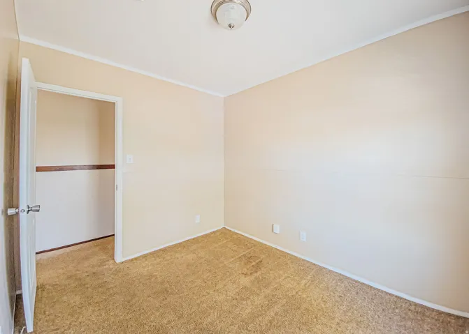Neutral-toned walls enhance this room's bright ambiance