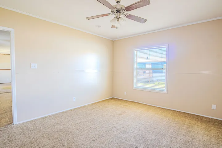 Carpeted room with a ceiling fan, a window featuring horizontal blinds, and neutral-toned walls