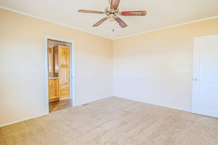 Spacious room featuring neutral carpet flooring, light-colored walls with white trim, and a ceiling fan with wood-finish blades