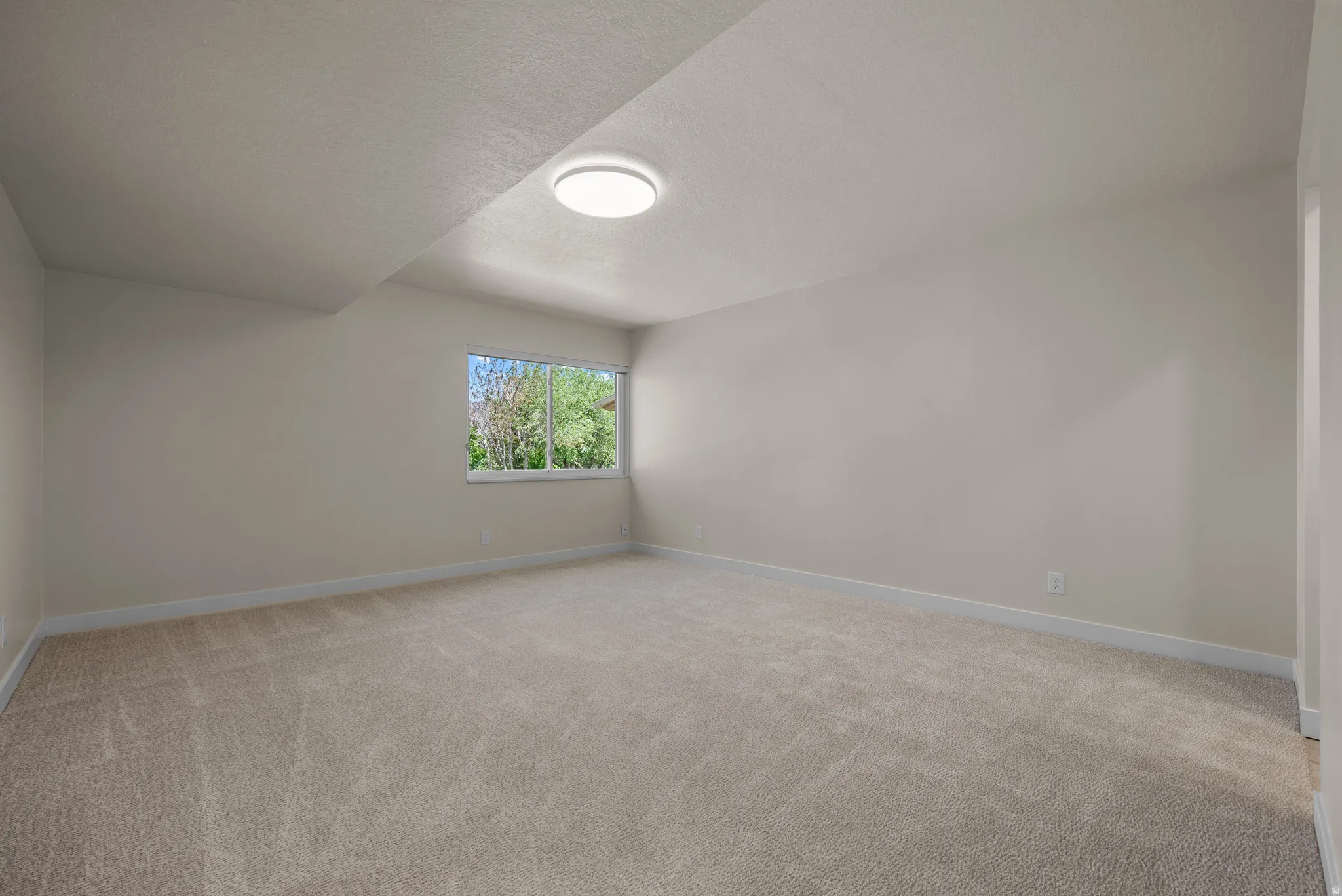 Carpeted room featuring a window with exterior foliage, neutral wall tones, white baseboards, and a flush-mount ceiling light with dimming feature