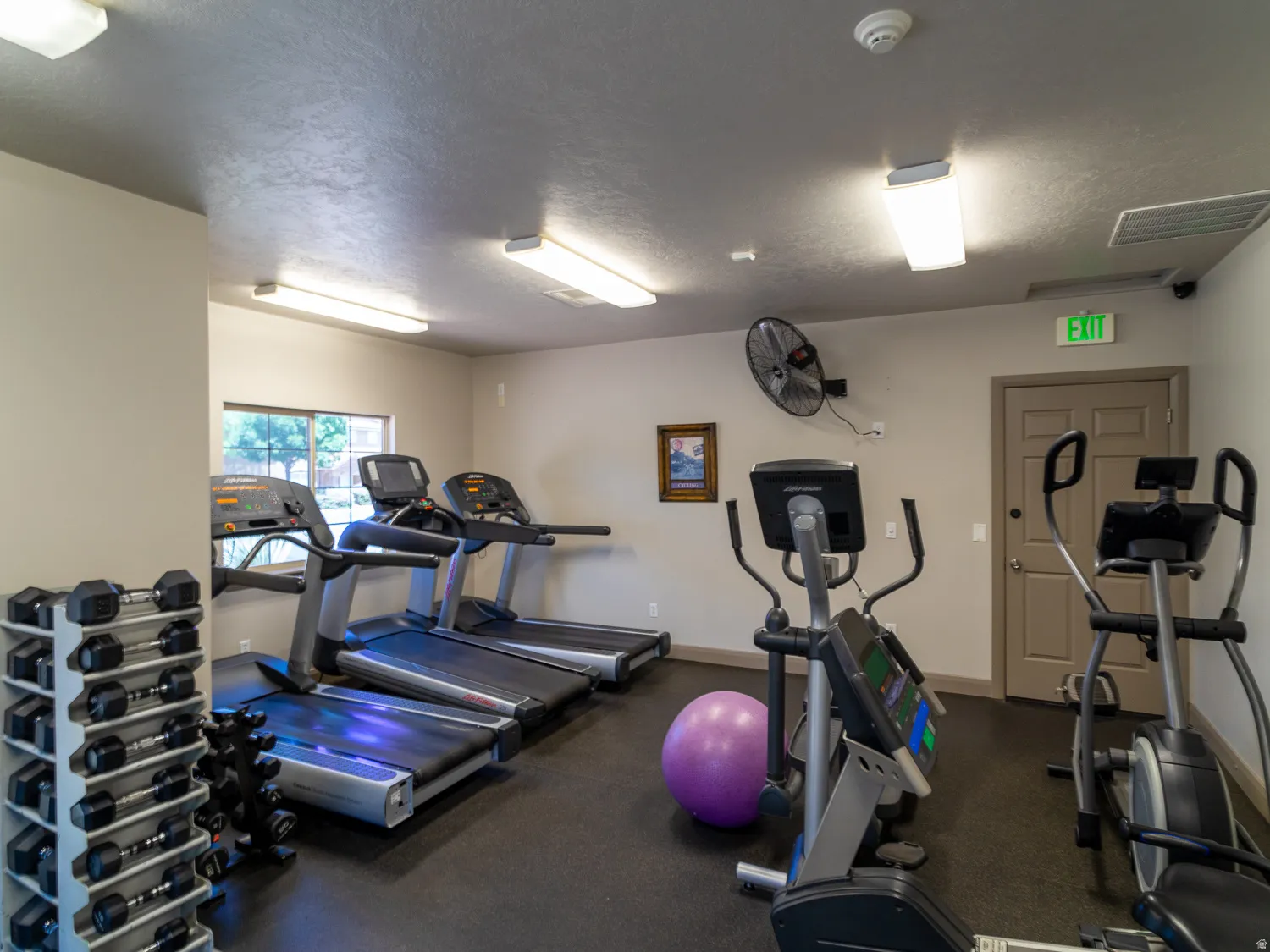 Dedicated fitness area featuring multiple treadmills, elliptical machines, a rack of free weights, and durable rubber flooring
