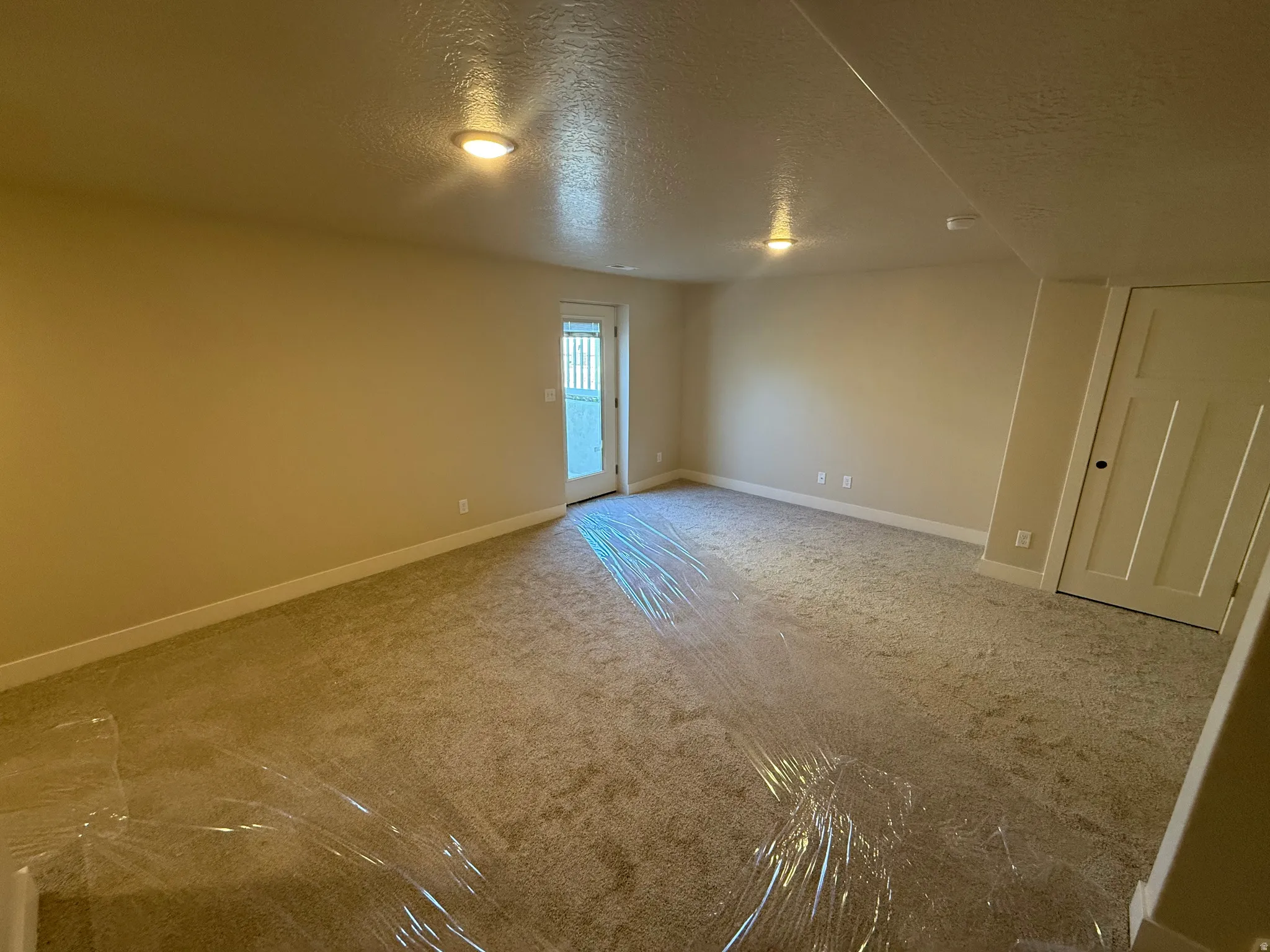 Spacious room featuring neutral carpeting, recessed lighting, baseboard molding, a white paneled door, and an exterior door with frosted glass