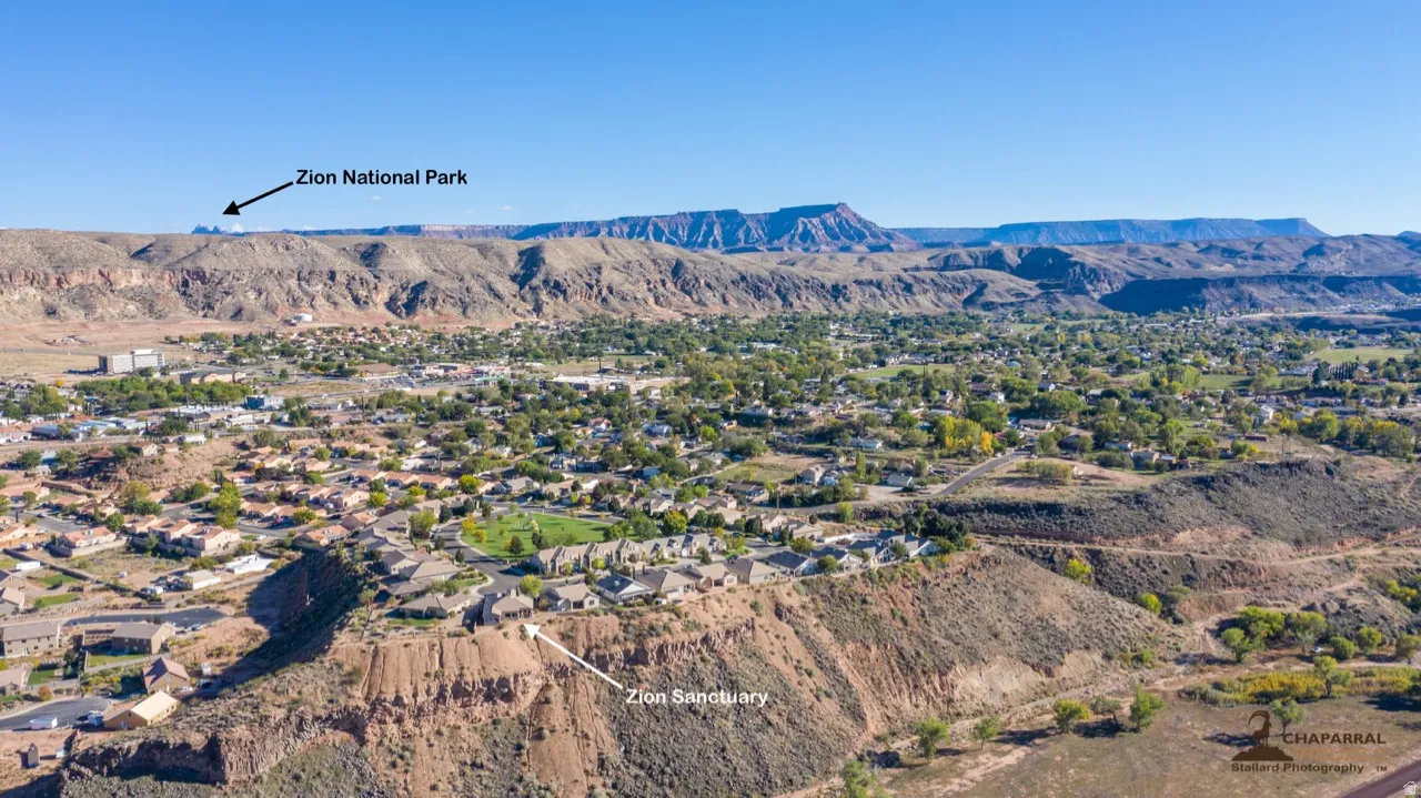 Peekaboo, Zion National Park is calling to you!