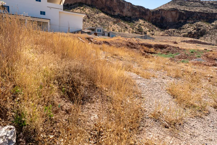 Sloping desert landscape featuring natural vegetation and a distant mountain backdrop