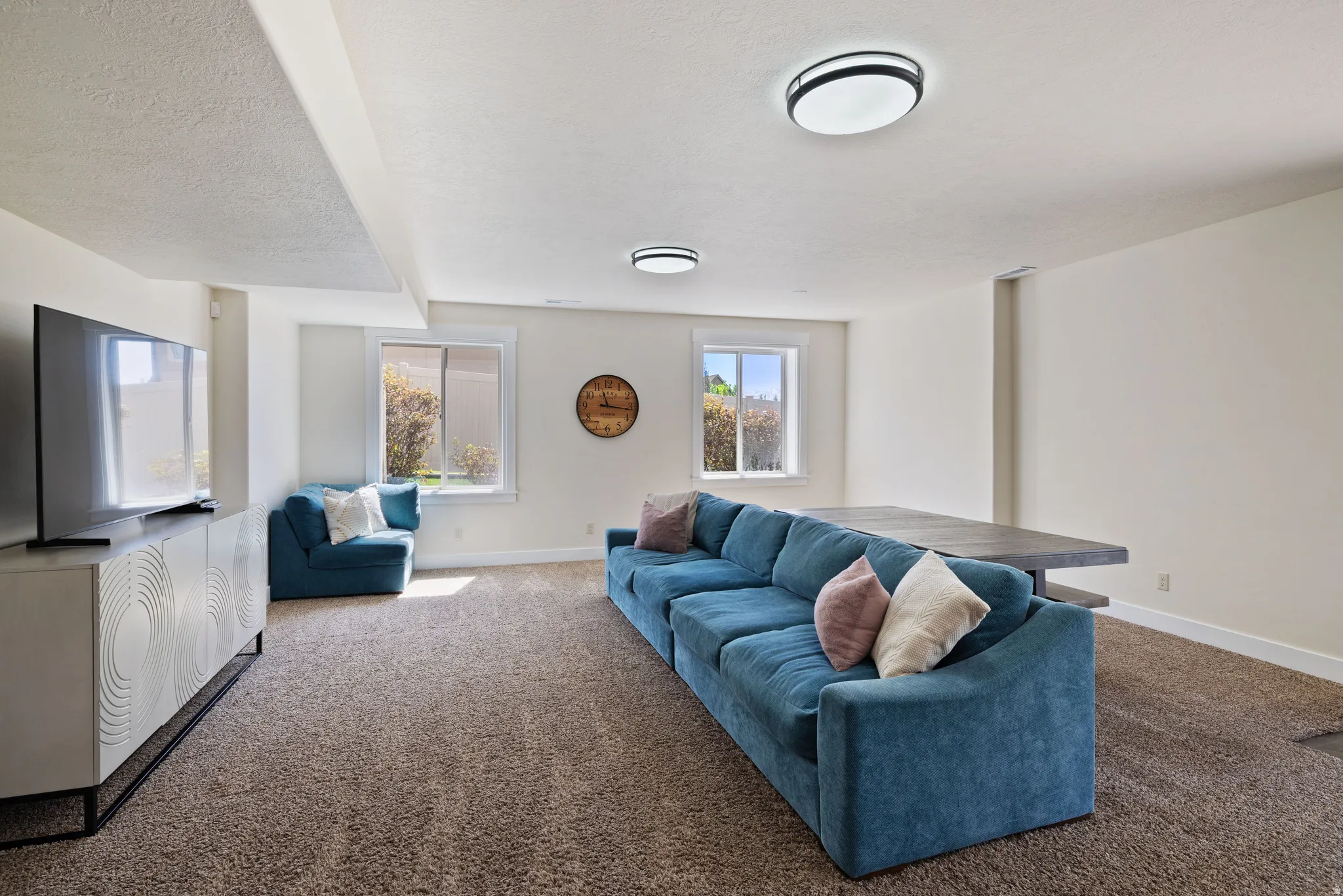 Basement Living room