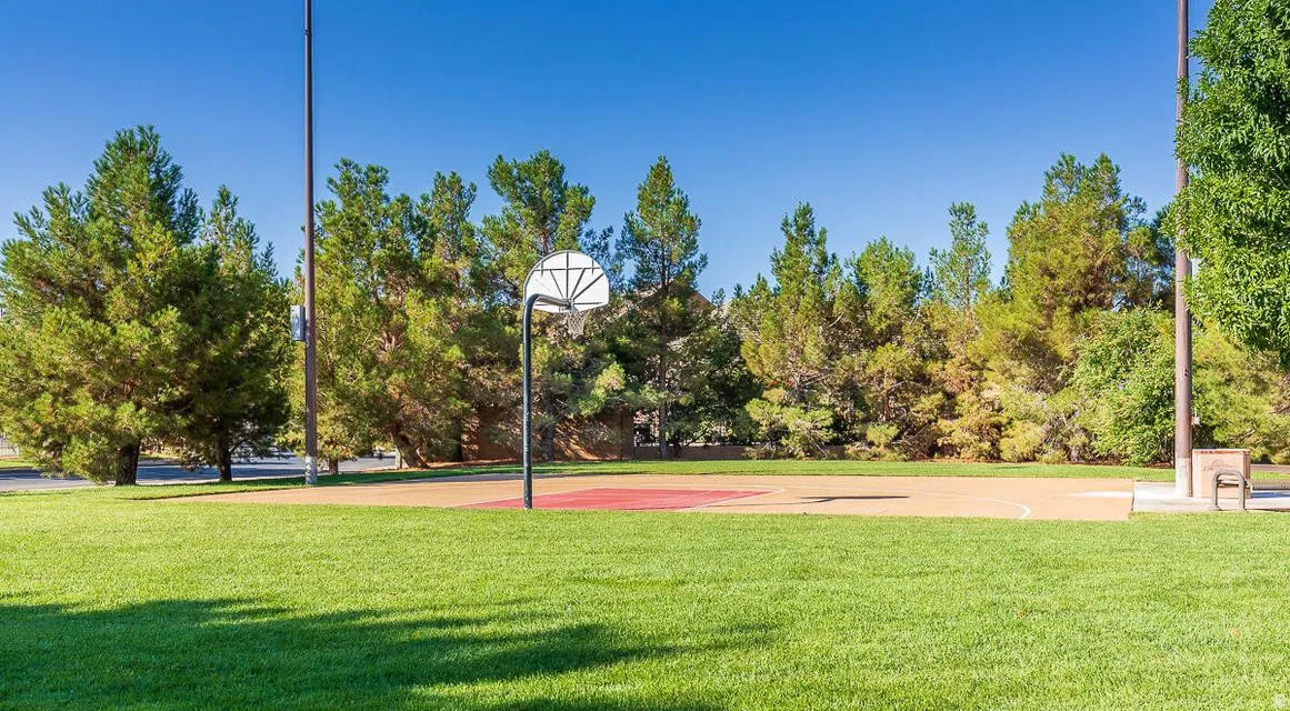 Recreational court featuring a basketball hoop on a surface with red and tan sections, surrounded by green turf