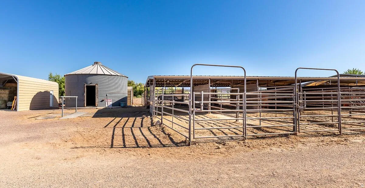 Expansive outdoor area featuring a large grain silo, covered shelter, and multiple metal corrals with gates