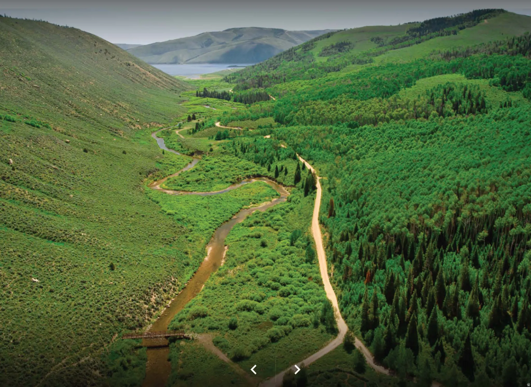 Expansive natural landscape featuring a winding river, dense evergreen forests, verdant hillsides, a dirt road, and distant mountain ranges with a body of water
