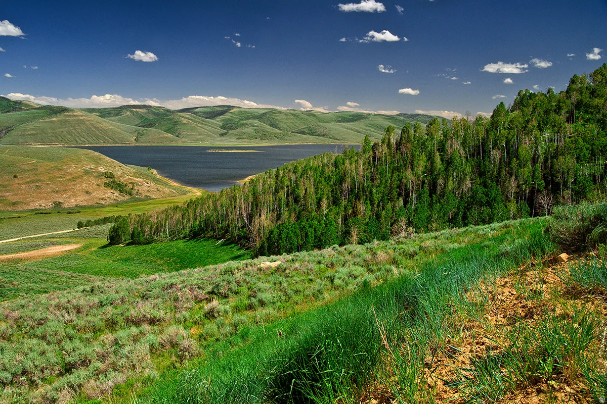 Expansive natural landscape featuring a prominent body of water, rolling hills, dense forest, and varied vegetation under a clear sky