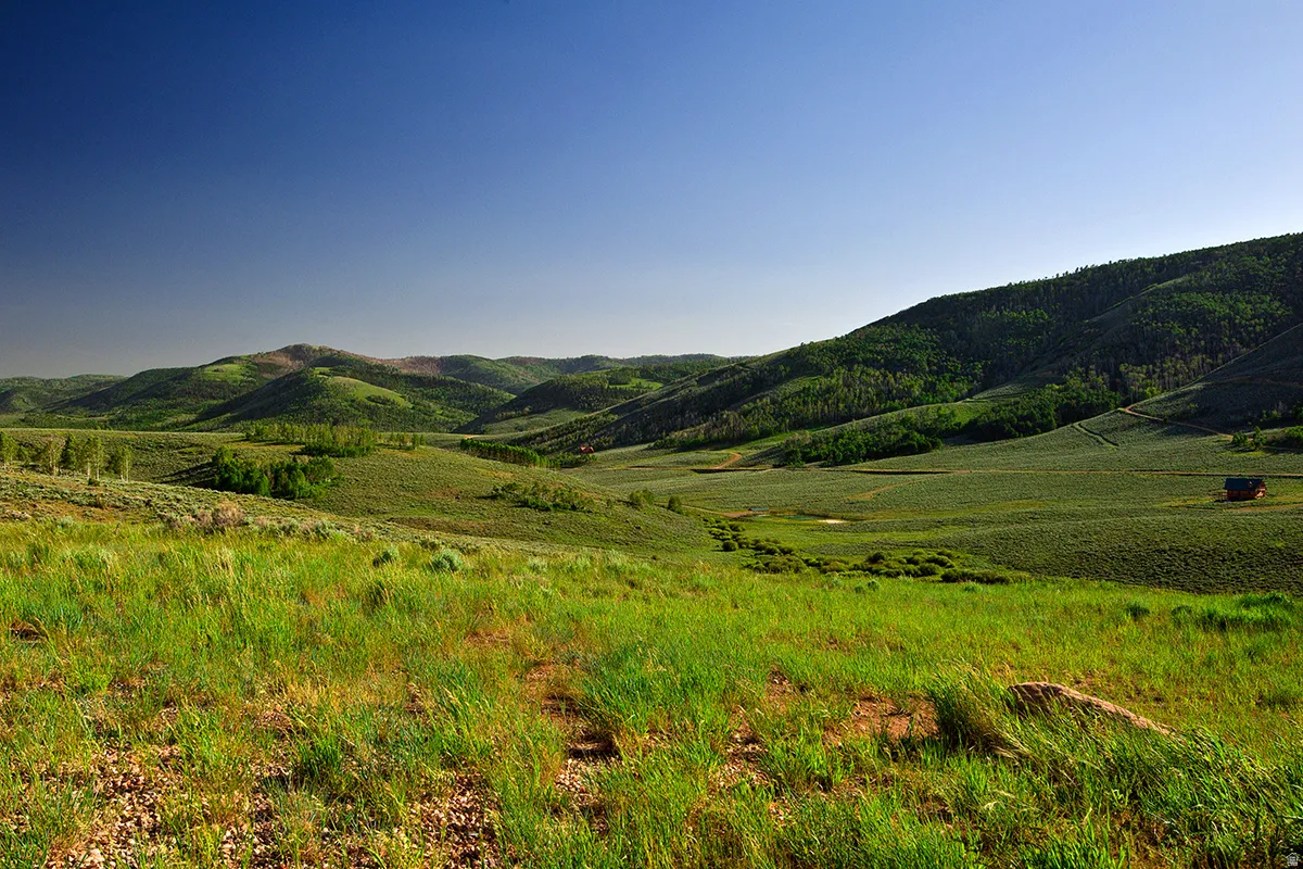 Expansive natural landscape featuring rolling hills and abundant greenery