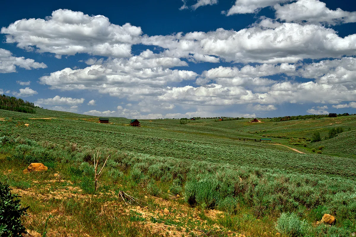 Rolling green terrain featuring natural foliage and distant structures