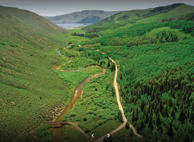Expansive natural landscape featuring a winding river, dense evergreen forests, verdant hillsides, a dirt road, and distant mountain ranges with a body of water