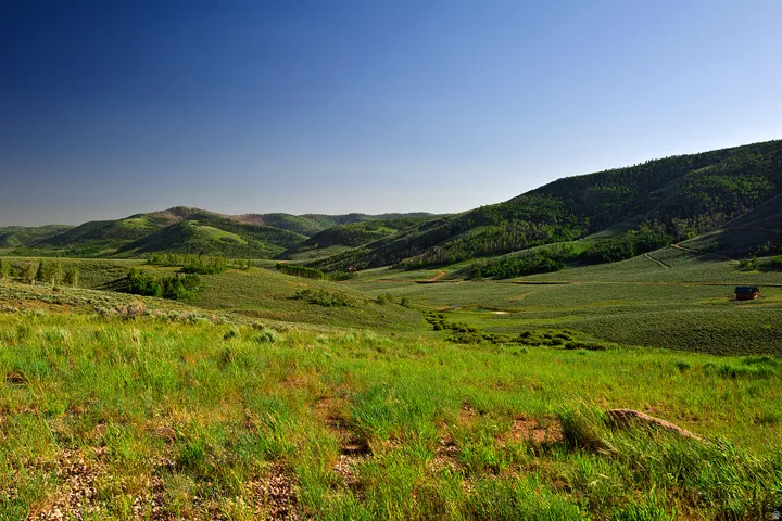 Expansive natural landscape featuring rolling hills and abundant greenery
