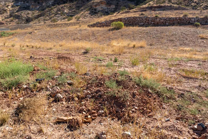 Expansive undeveloped land featuring natural terrain, a distant stone retaining wall, and varied low-lying vegetation