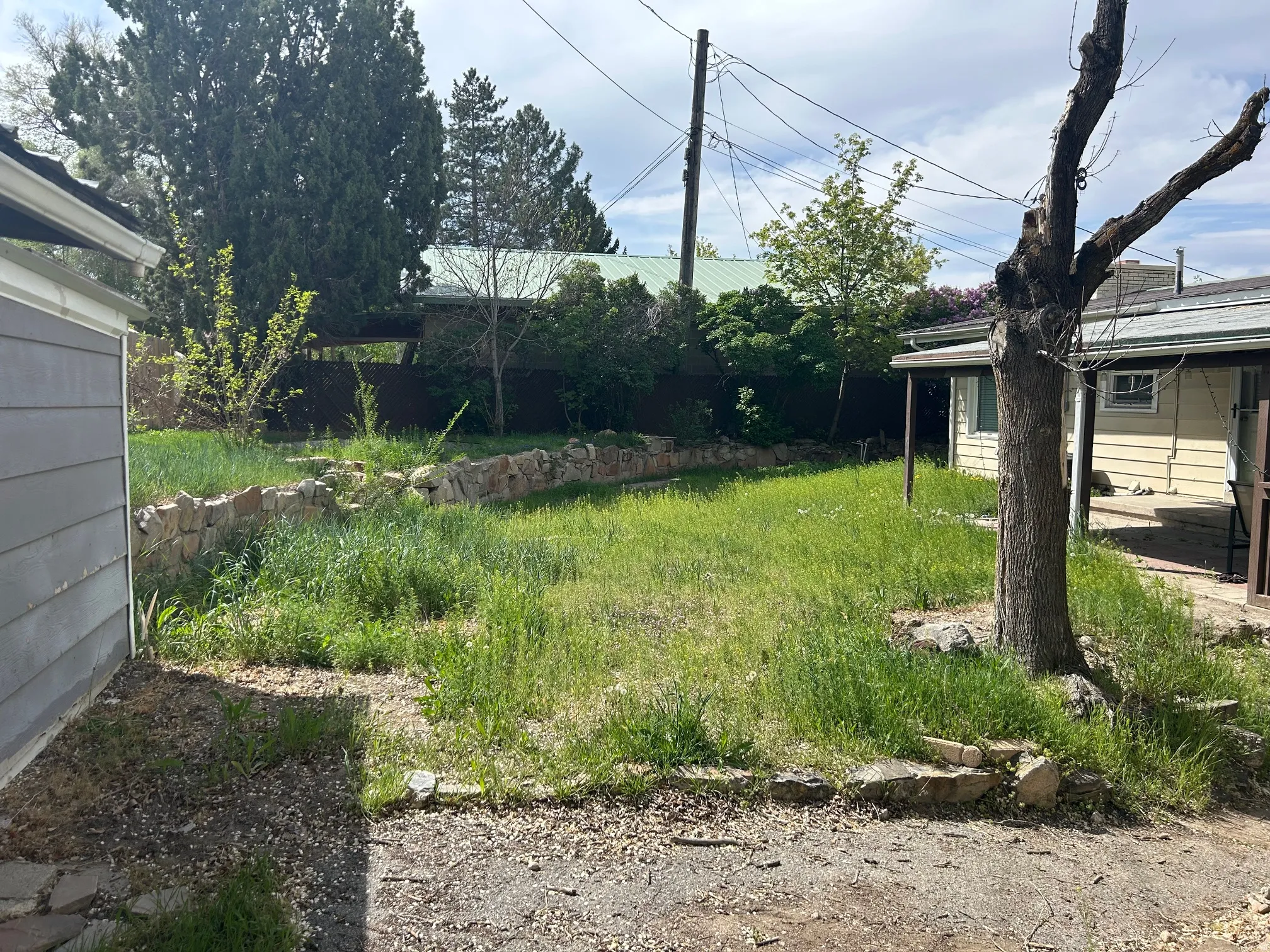 Expansive backyard featuring a stone retaining wall, mature trees, and a large storage shed