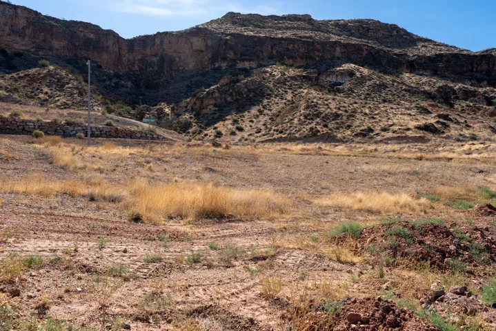 Expansive undeveloped land featuring a rugged mountain backdrop and varied desert vegetation