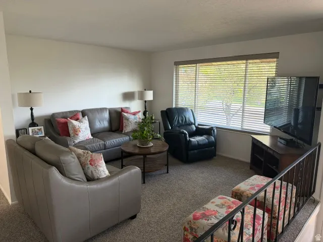 Carpeted living area featuring a large window with blinds, a corner media console, and a black wrought iron railing