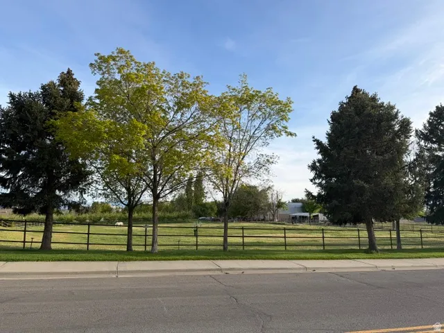 Expansive green space featuring a black metal fence, mature trees, and a paved road