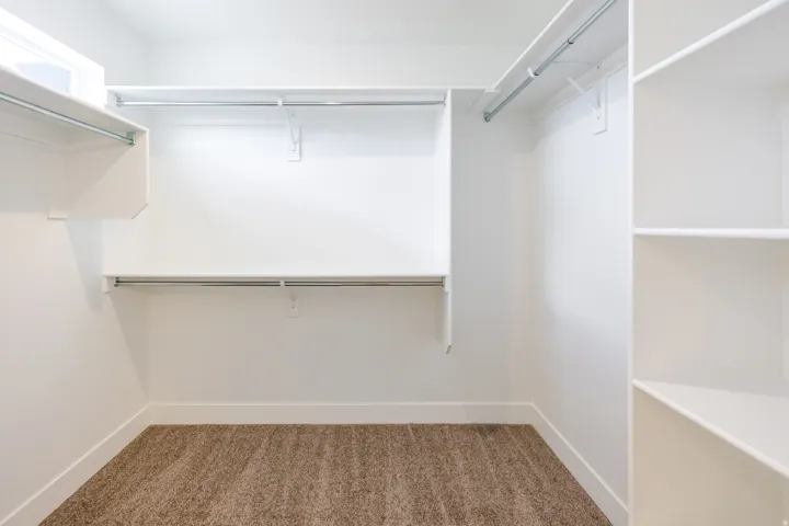 Walk-in closet with carpet flooring, white shelving, and hanging rods