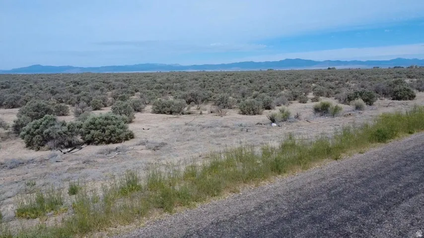 Expansive desert landscape featuring natural scrub brush and distant mountains under a clear sky