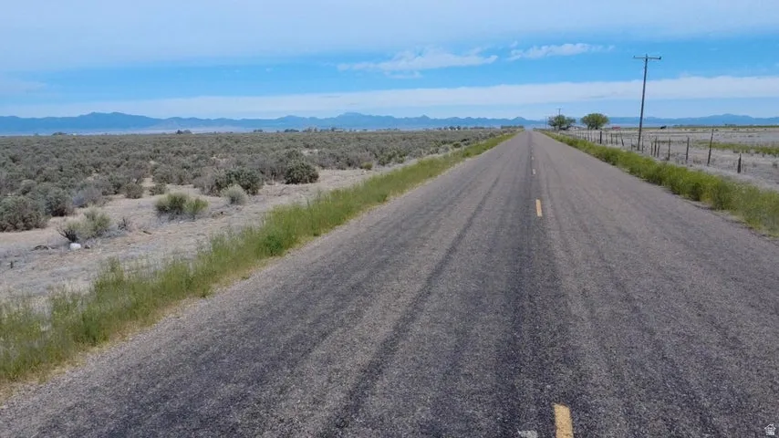 Asphalt road with a single yellow center stripe, bordered by desert vegetation