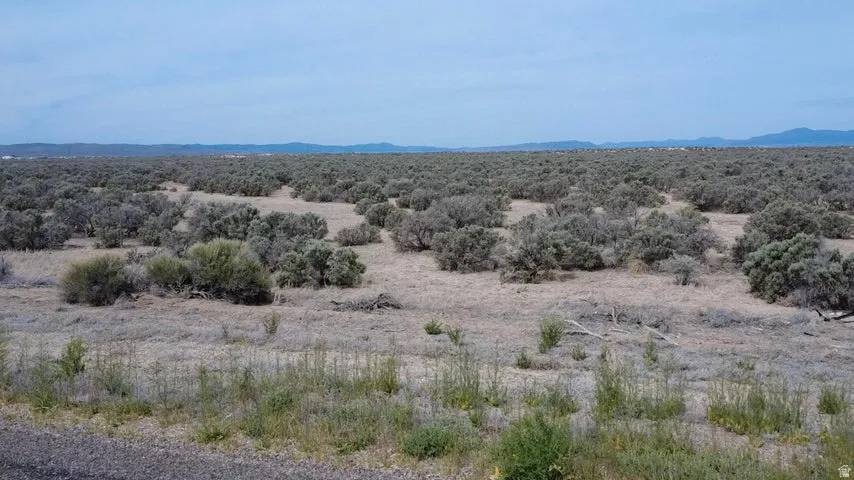 Expansive open land featuring diverse scrub vegetation and distant mountain ranges under a clear sky