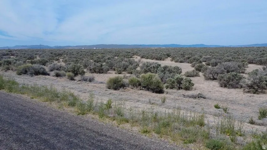 Expansive desert landscape featuring natural brush and a visible road frontage