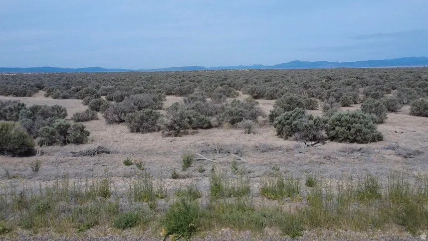 Expansive undeveloped land featuring natural vegetation and distant mountains