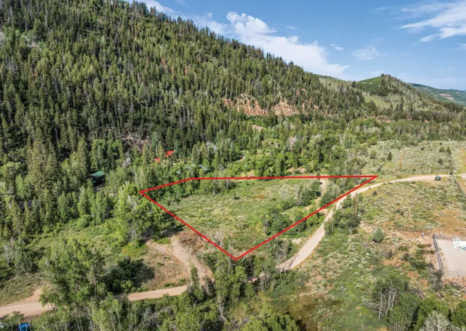 Expansive undeveloped land parcel featuring diverse natural vegetation and mature trees