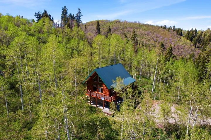 Log cabin residence featuring a dark green metal roof, multiple windows, and a surrounding forest setting
