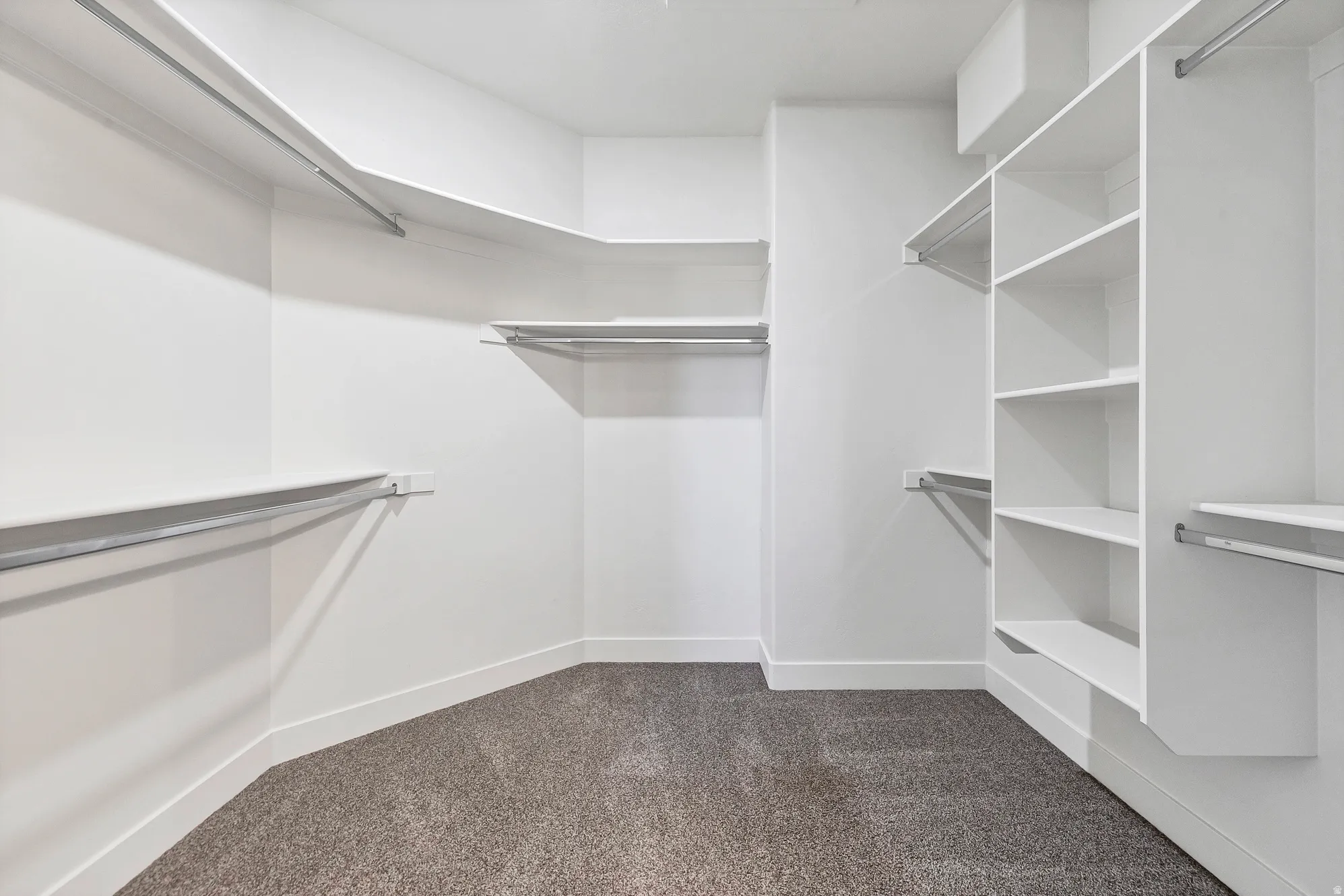 Walk-in closet featuring built-in shelving, multiple hanging rods, and neutral-toned carpeting