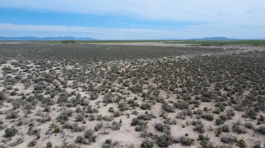 Expansive undeveloped land featuring natural desert vegetation, a flat terrain, distant mountains, and a clear sky
