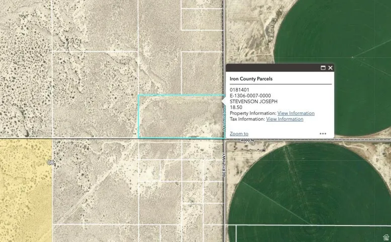 Parcel Map and Information Overlay. Displaying property identification details and associated information for a specific parcel