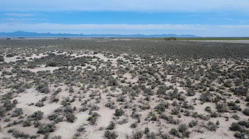 Expansive desert landscape with natural vegetation and distant mountain ranges