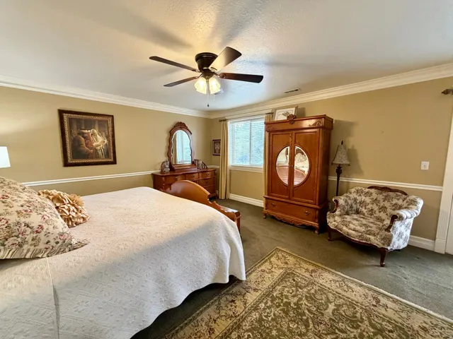 Carpeted room featuring a ceiling fan, crown molding, and chair rail detailing