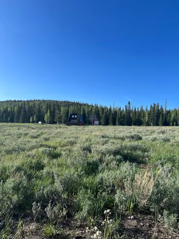 Expansive natural landscape featuring a distant red-sided structure with a dark roof, surrounded by mature evergreen trees and broad, open fields