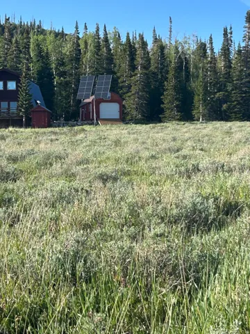 Expansive natural landscape with a prominent field of tall grasses and native vegetation