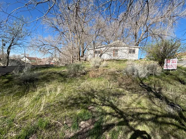 Expansive sloped lot with a detached structure