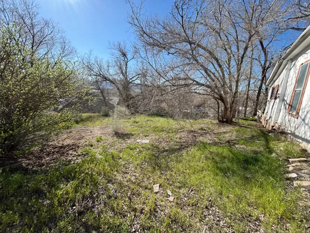 Expansive property featuring verdant ground cover, mature deciduous trees, a substantial bush with new spring growth, and a white exterior structure with brown-framed windows