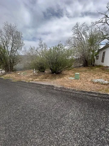 Level lot with established trees and shrubs